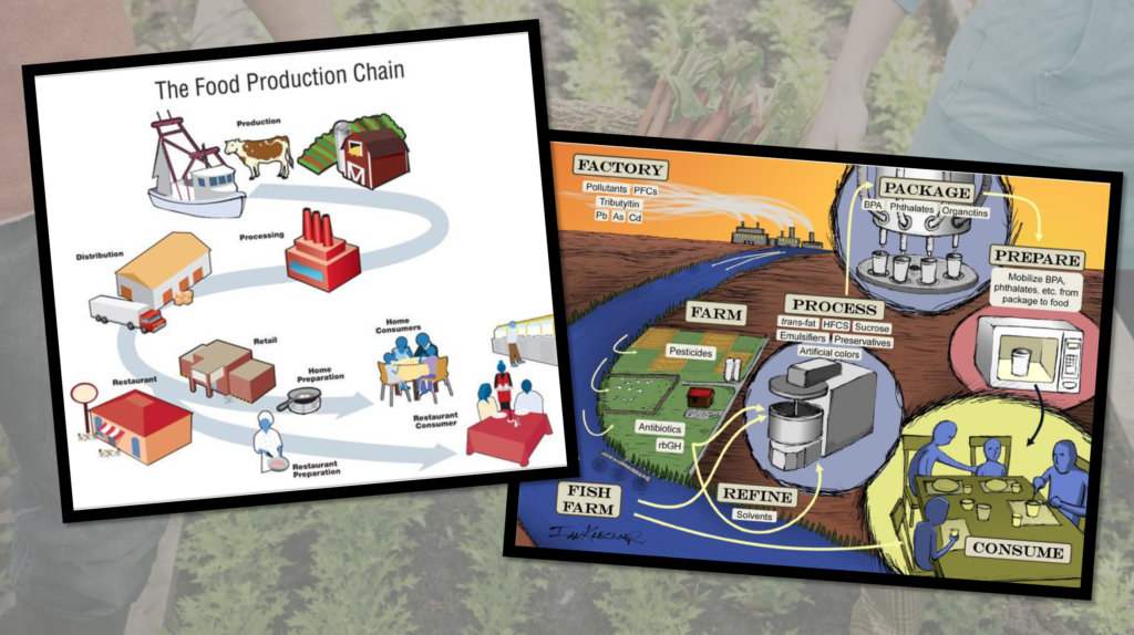 geography of food production